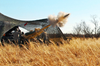Large Caliber Ammunition System -  - Inductotherm Group