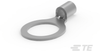 Ring Terminals - 52269-1 - TE Connectivity