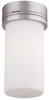 F607859U Flush Mounts-Other - 415572 - Capital Lighting, Inc.