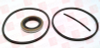 Hydraulic Pump Rebuild Kit / Seal Kit -- 33624730