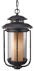 Pendant Light Fixture - OL9211TXB - Generation Brands