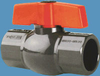 QIC2 Registered Ball Valves -- 19248 - Image