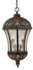 Exterior -Hanging - 72977 - Light Center (The)