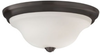 Close to Ceiling Lighting Fixture - FM361BS - Generation Brands