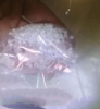 Thermoplastic Elastomer -- TPU off grade pellets