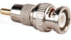 TecNec BM-P 50 Ohm BNC Male To RCA Male Video Adapter - BM-P - Visual Sound, Inc.