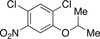 2,4-Dichloro-5-nitrophenyl Isopropyl Ether -- D435550 - Image