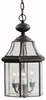 9885OZ Foyer/Hall Lanterns-Glass w/Frame - 796575 - Capital Lighting, Inc.