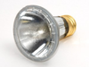 50 Watt, 120 Volt Halogen PAR20 Spot. - FAN3096 - bulbs.com