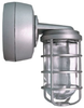 Vaporproof HID Fixture with Globe and Guard - VXBR2SN100W - RAB Lighting