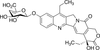 SN-38 4-Deoxy-glucuronide - S589970 - Toronto Research Chemicals, Inc.