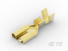 Quick Disconnects - 170213-1 - TE Connectivity