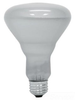 Standard Incandescent Lamp -- 110R30/FL/RS/1-120