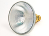 90 Watt, 130 Volt Halogen Food Service PAR38 Flood - 388868 - bulbs.com