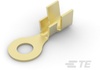 Ring Terminals - 41558 - TE Connectivity