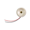 Alarms, Buzzers, and Sirens - 433-PT-3017L-ND - DigiKey