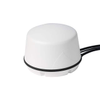 RF Antennas - GLHPDLTEMIMO-SF-MM - Quarktwin Technology Ltd.