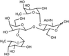 Lewis Y Tetrasaccharide - 11365 - Medical Isotopes, Inc.