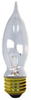 Standard Incandescent Lamp -- 25CAM/L/BB/CD4-120 - Image