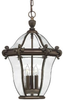 2442CB-DS Exterior -Hanging - 345118 - Capital Lighting, Inc.