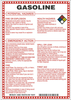 Brady B-120 Fiberglass Reinforced Polyester Rectangle White Chemical, Biohazard, Hazardous & Flammable Material Sign - 7 in Width x 10 in Height - TEXT: GASOLINE - 48868 - 754476-48868 - R. S. Hughes Company, Inc.