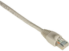 100FT Beige CAT6 550MHz Patch Cable UTP CM Snagless - EVNSL645-0100 - Black Box