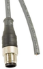 Sensor Cord, 8P M12 Plug-Free End, 15M; Connector Type A Alpha Wire - 48AC6127 - Newark, An Avnet Company