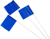 Brady Steel / Plastic Rectangle Blue Underground Hazard Marking Flags Sign - 5 in Width x 4 in Height - 98175 - 754476-98175 - R. S. Hughes Company, Inc.