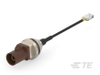 RF Cable Assemblies - 2550667-6 - TE Connectivity