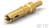 Connector Contacts - 1648360-1 - TE Connectivity