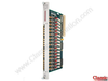Output Module - 2590 - Classic Automation LLC