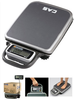 Platform Scale - CAS-PB - Meridian Scale