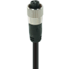 Mini Power Single-Ended Cordset: 1 3/8