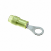 Terminals - Ring Connectors - PN22-2R-C-ND - DigiKey