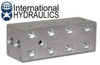 D03 4 Station Parallel Manifold -- IH-MD03-P04 - Image