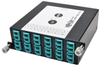 100Gb/120Gb to10Gb Breakout Cassette, 24-Fiber OM4 MTP/MPO ( Male with Pins ) to ( x12 ) LC Duplex -- N484-1M24-LC12