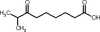  - 7131e - Rieke Metals, Inc.