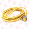 QD Cable/Cord Set - 3586733 - Radwell International