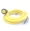 QD Cable/Cord Set - Radwell International