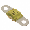 Fuses - 142.7010.5602-ND - DigiKey