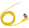 QD Cable/Cord Set -  - Radwell International