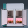 Reach-In Plant Growth Chamber for Tall Plants -- PG2500 - Image