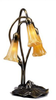 Lamps-Accent Lamps - 245869 - Light Center (The)