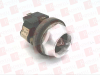 Pilot Light - 11094848 - Radwell International