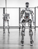 Humanoid Robot -- FIGURE 01 - Image
