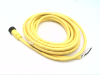 QD Cable/Cord Set - Radwell International