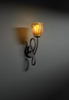GLA-8911-56-AMBR-DBRZ Sconces-Single Glass - 494794 - Capital Lighting, Inc.
