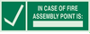 Glow-in-the-Dark Exit & Directional Sign - 90930 - Brady Corporation