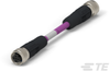 M8/M12 Cable Assemblies - TAA75CA5501-006 - TE Connectivity