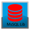 MsSQL Library SL - 2112000003 - Codesys Group